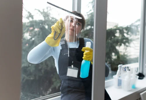 Nettoyage de vitres intérieures et extérieures à Santa-Lucia-di-Mercurio